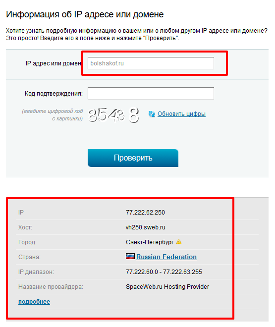 Вписываем домен в сервис 2ip.ru
